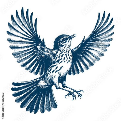 Acadian Flycatcher bird vector
