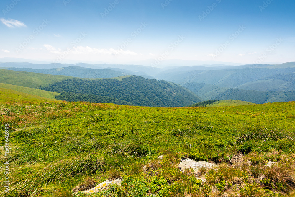 Naklejka premium green meadow in mountain with clouds on the sky. vacation season. nature landscape of ukraine carpathians in summer. great travel scenery of transcarpathia. scenic view of hills rolling in to horizon