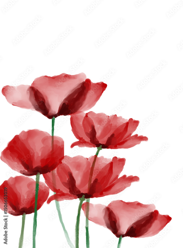 Fototapeta premium Watercolor Red Poppy