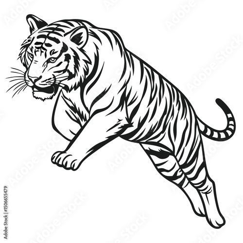 A powerful tiger leaping forward in a black and white vector illustration