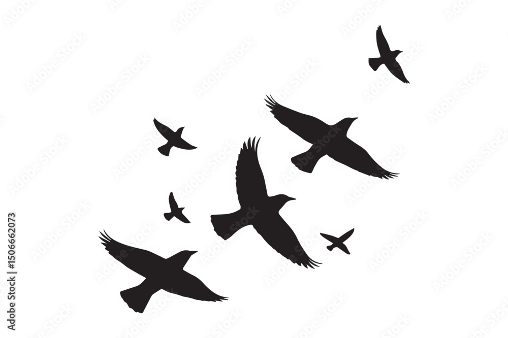 Fototapeta premium High-quality vector illustration of multiple birds in a black silhouette, captured in mid-flight. Isolated on a white background