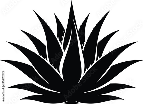 Aloe vera vector. Botanical plant illustration. Aloe vera plant line art silhouette vector illustration