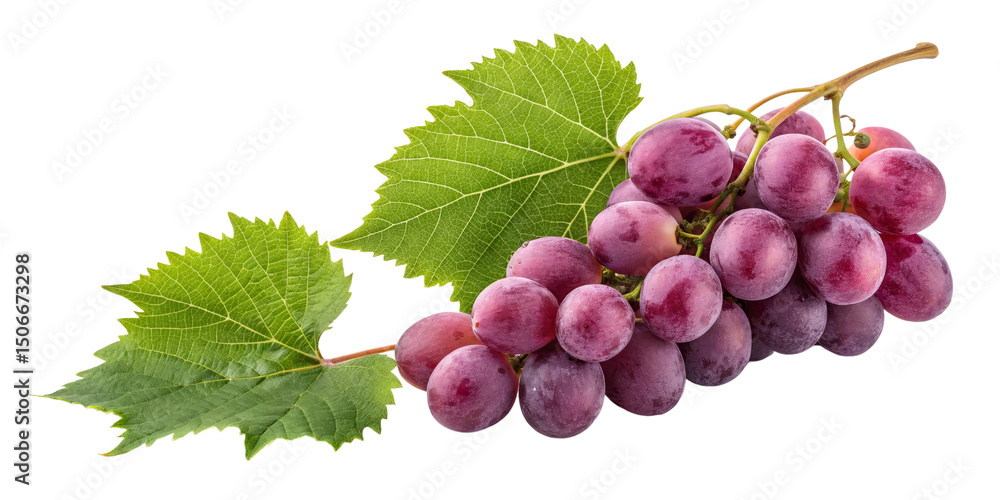Obraz premium Red Grape Bunch with Leaves Isolated on Transparent Background, Vine, Fruit, Food