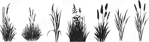 Silhouette of cattails and reeds. Wild grass on the river bank. Swamp coastal plants.