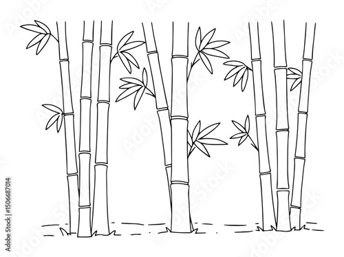 bamboo forest outline vector illustration