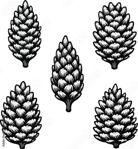 pine cones