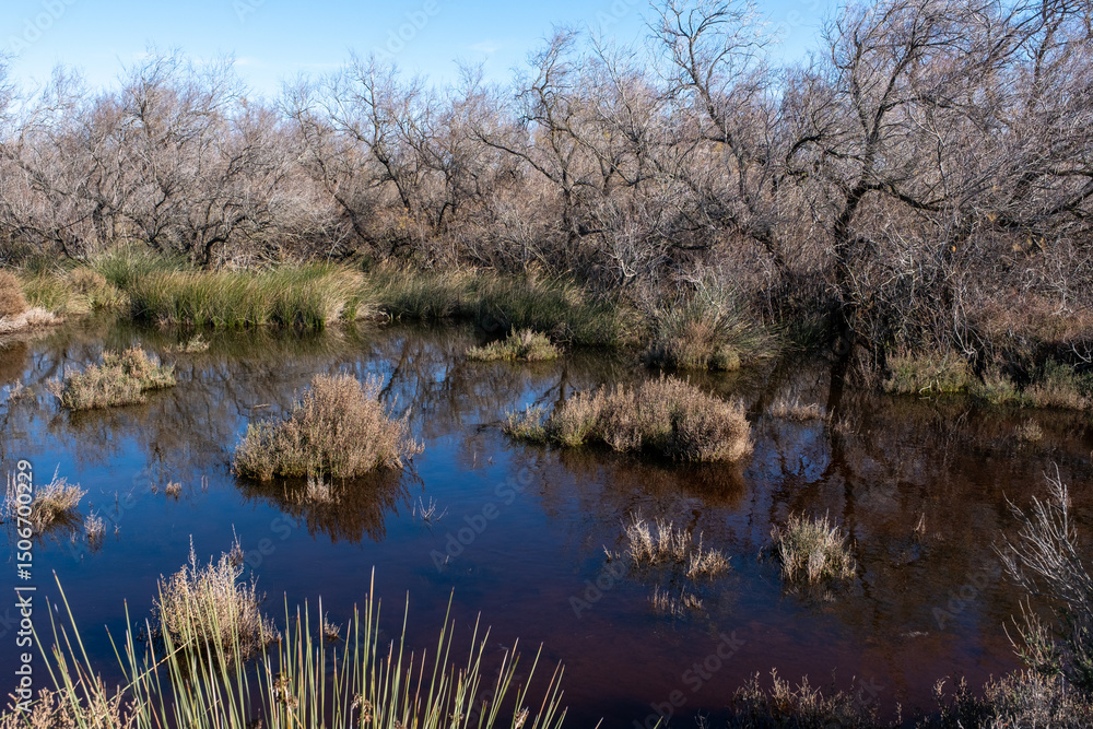 Obraz premium Marais