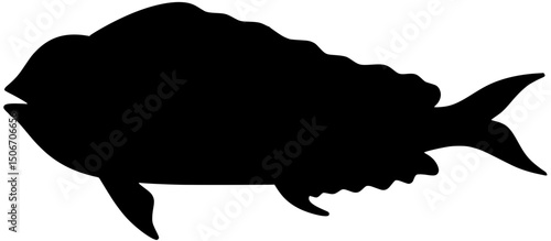 Silhouette of a mahi-mahi fish vector