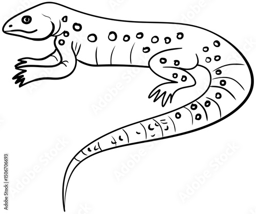 Vector illustration of Curacao Whiptail lizard Drawing