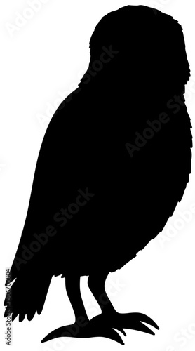 Burrowing Owl Silhouette Shadow Vector