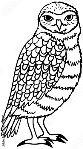 Burrowing Owl Vector Outline Line Art Drawing