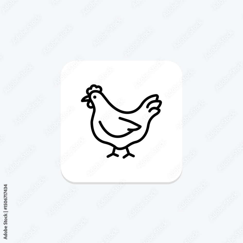 Fototapeta premium Chicken In Organic Farm, vector, pixel perfect, illustrator file