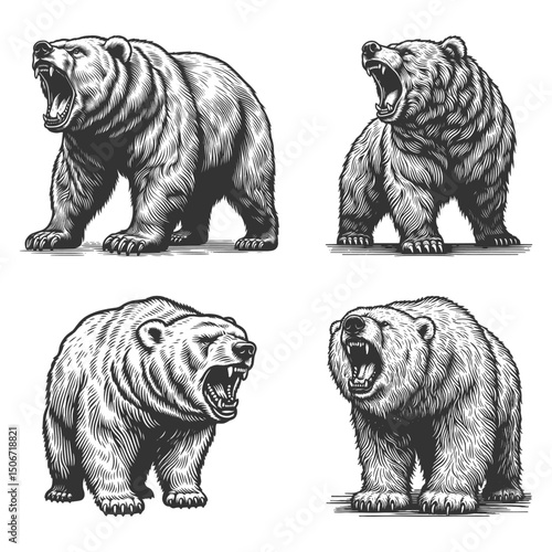 Roaring Bear Set collection bundle sketch engraving generative ai vector illustration. Scratch board imitation. Black and white image.