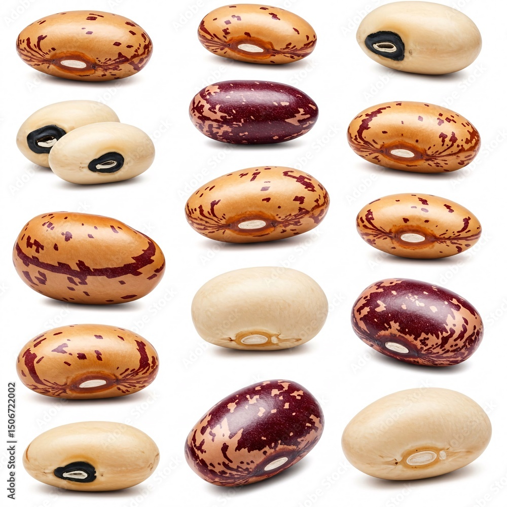 custom made wallpaper toronto digitalVarious red kidney beans, neatly arranged on a white