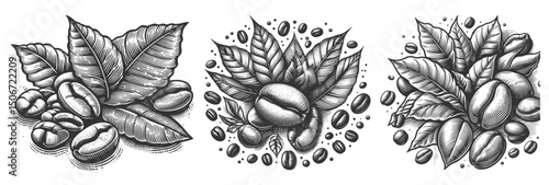 coffee beans with detailed coffee plant leaves Set collection bundle sketch engraving generative ai vector illustration. Scratch board imitation. Black and white image.
