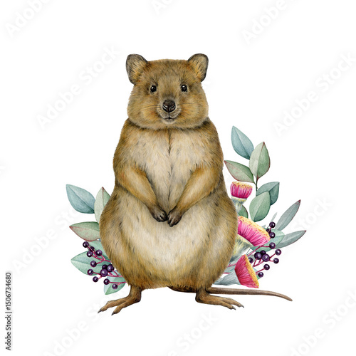 Funny quokka with eucalyptus leaf floral decor hand drawn watercolor vintage style illustration. Cute Australian native marsupial mammal. Short tailed scrub wallaby isolated on white background