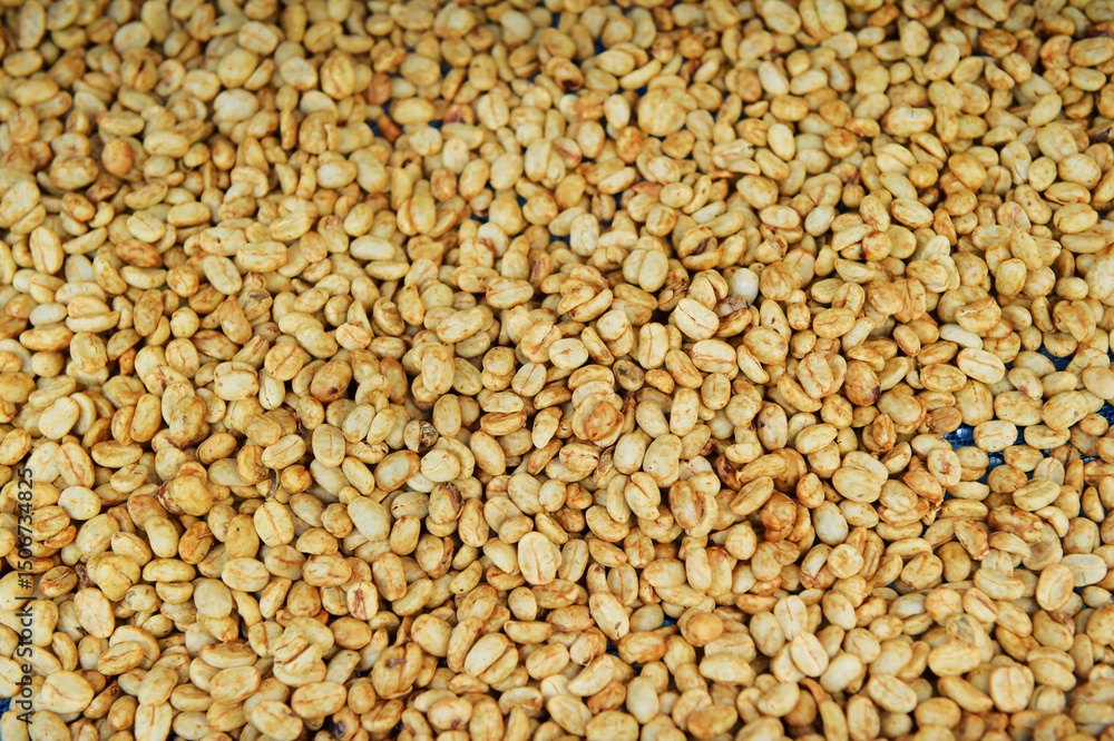 Close up of coffee beans for background Close up of coffee beans for background