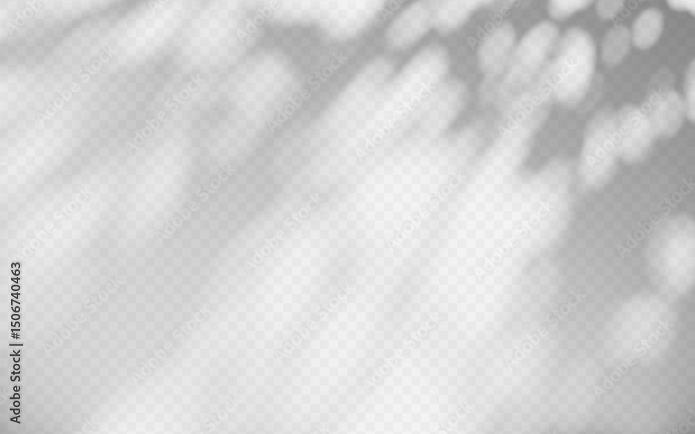 Obraz premium Abstract shadow overlay from tree branch on a transparent background.