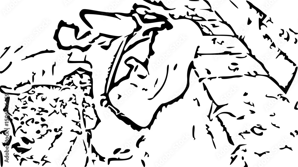 Fototapeta premium Black and White Line Art of a Cow – Stylized Vector Illustration 
