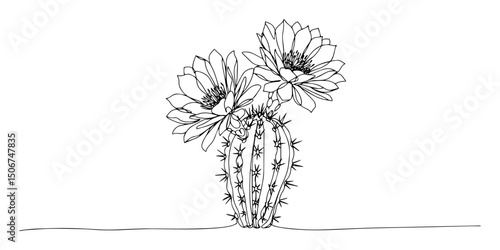 flowering cactus with large blossoms monoline vector drawing
