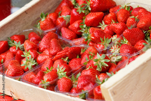 Photos fraise