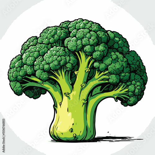 broccoli vegetable illustration vector digital art