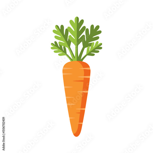 Fresh orange carrot with green leaves on a white background - Concept of immunity  