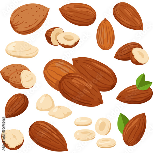 Whole and sliced almonds arranged on a white background  