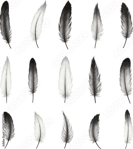 set of feathers vector illustration