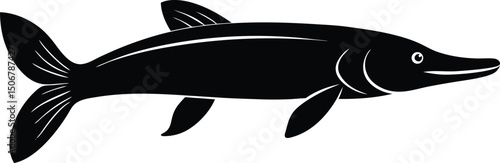 fish vector