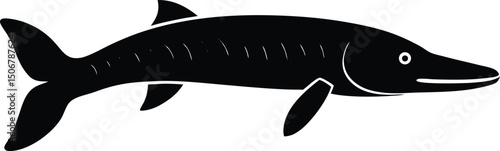 fish vector