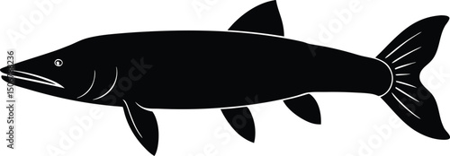 fish vector