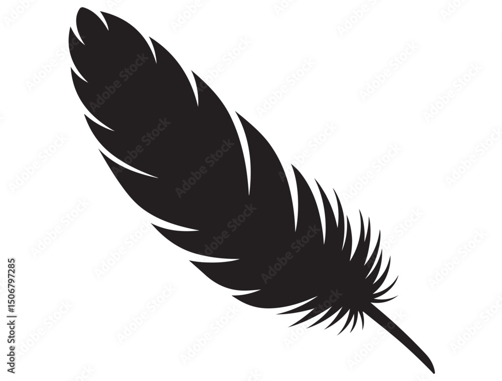 Obraz premium FEATHER SILHOUETTE