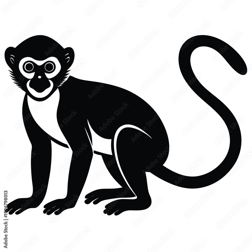 Obraz premium vervet monkey vector