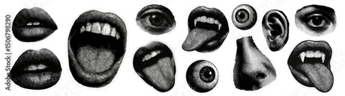 Surreal collage of facial features vector