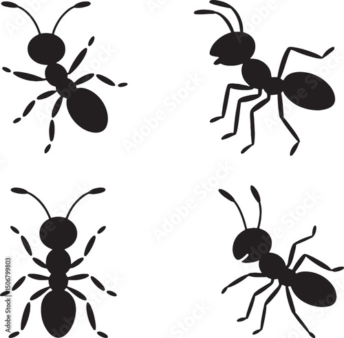 Four black ant silhouettes isolated white background