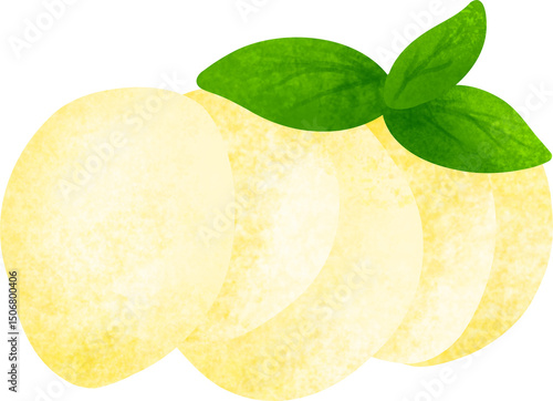 Delicious mozzarella cheese illustration