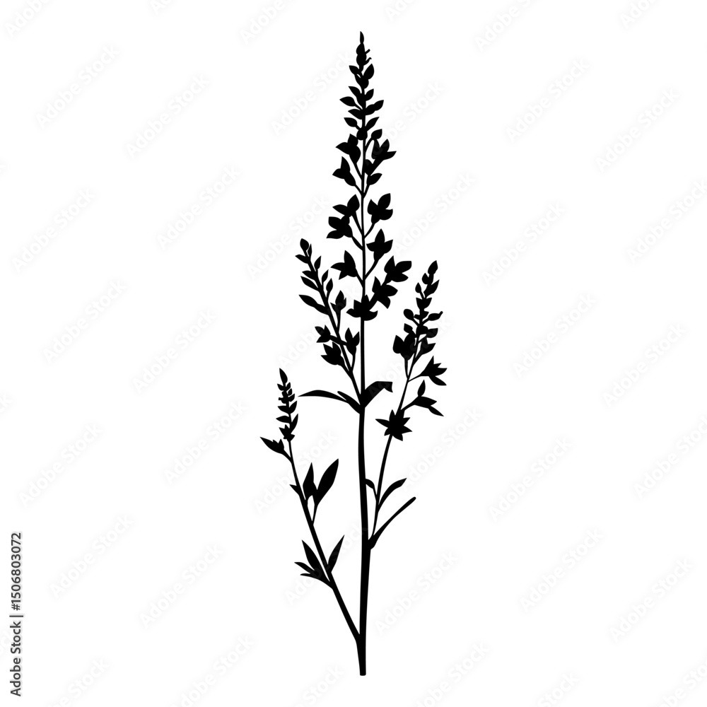 Tall wild flowers art illustration silhouette vector Tall wild flowers art illustration silhouette vector