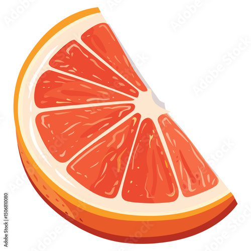 Orange illustration grapefruit slice vector