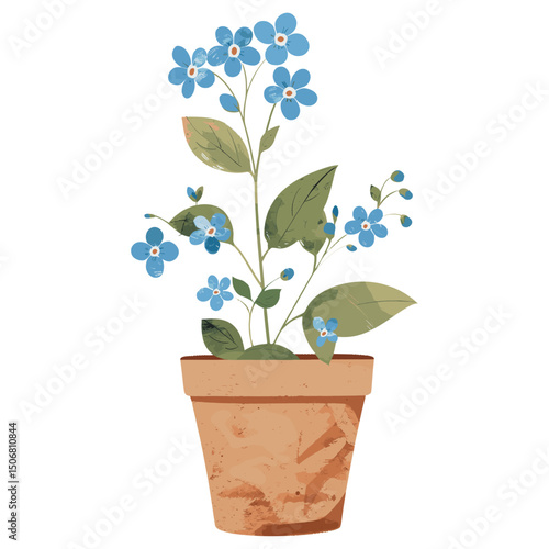 Forget-Me-Nots flower flowers illustration botanical vector