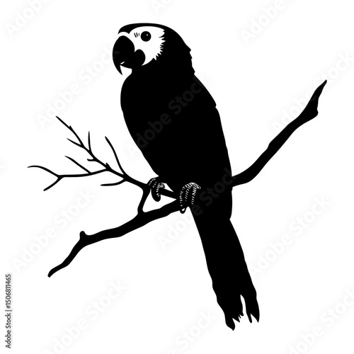 Wildlife silhouette black white vector