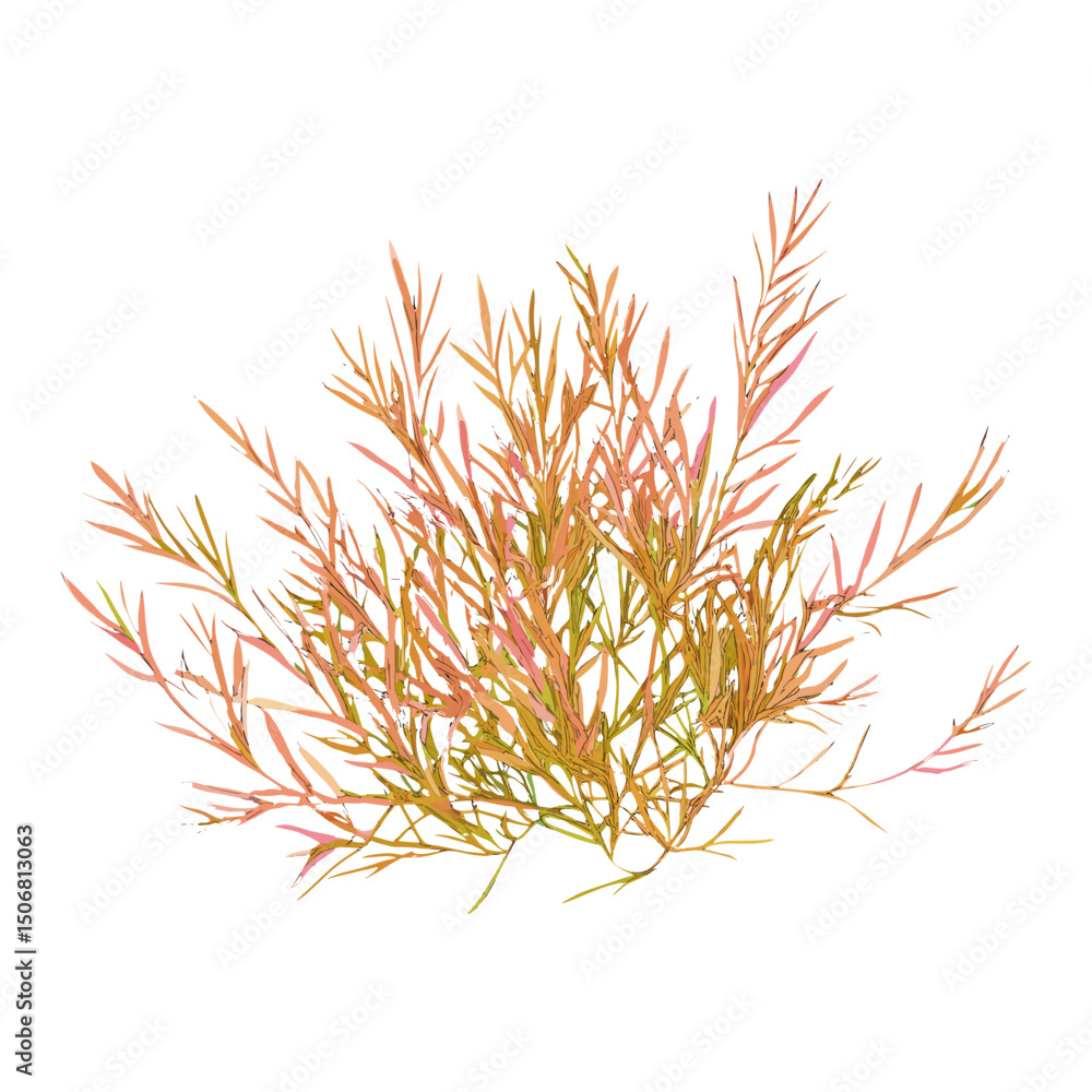 Fototapeta premium Clump of grass illustration design plant vector