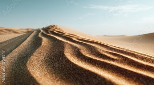 Fototapeta Naklejka Na Ścianę i Meble -  sand dunes in the desert