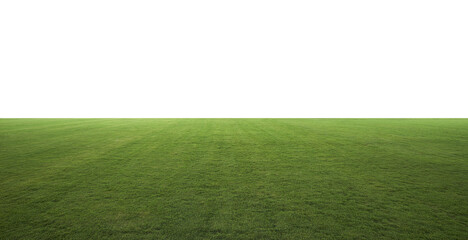Green grass field with transparent background extending into empty space