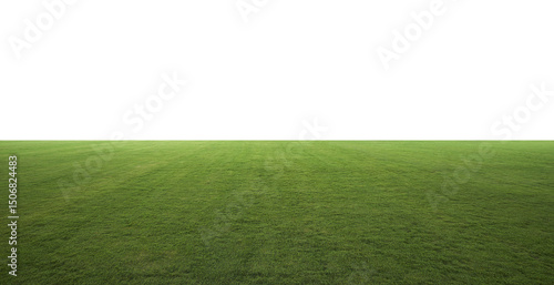 Green grass field with transparent background extending into empty space