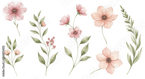 Watercolor pink flower and greenery collection