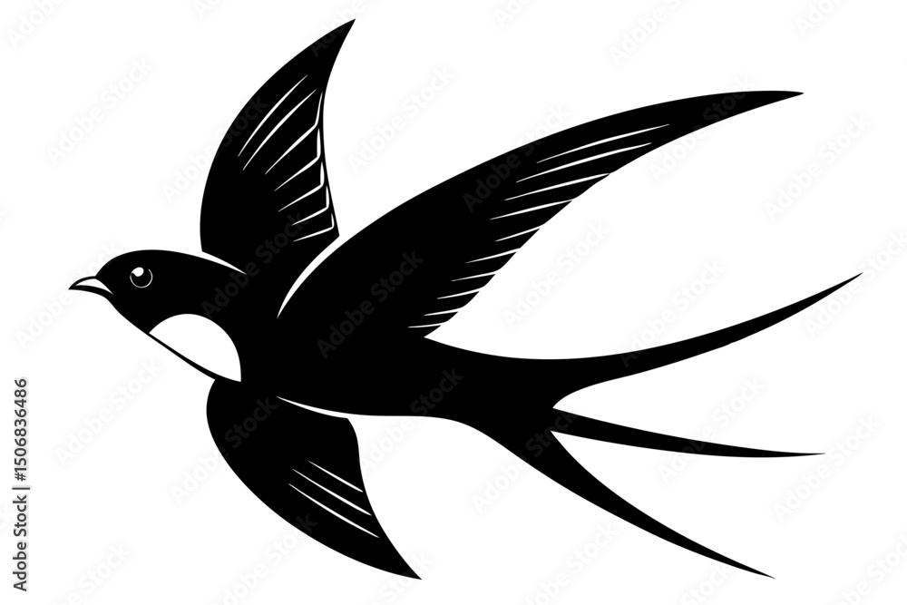 Fototapeta premium Swallow Bird Black and White Flying Illustration