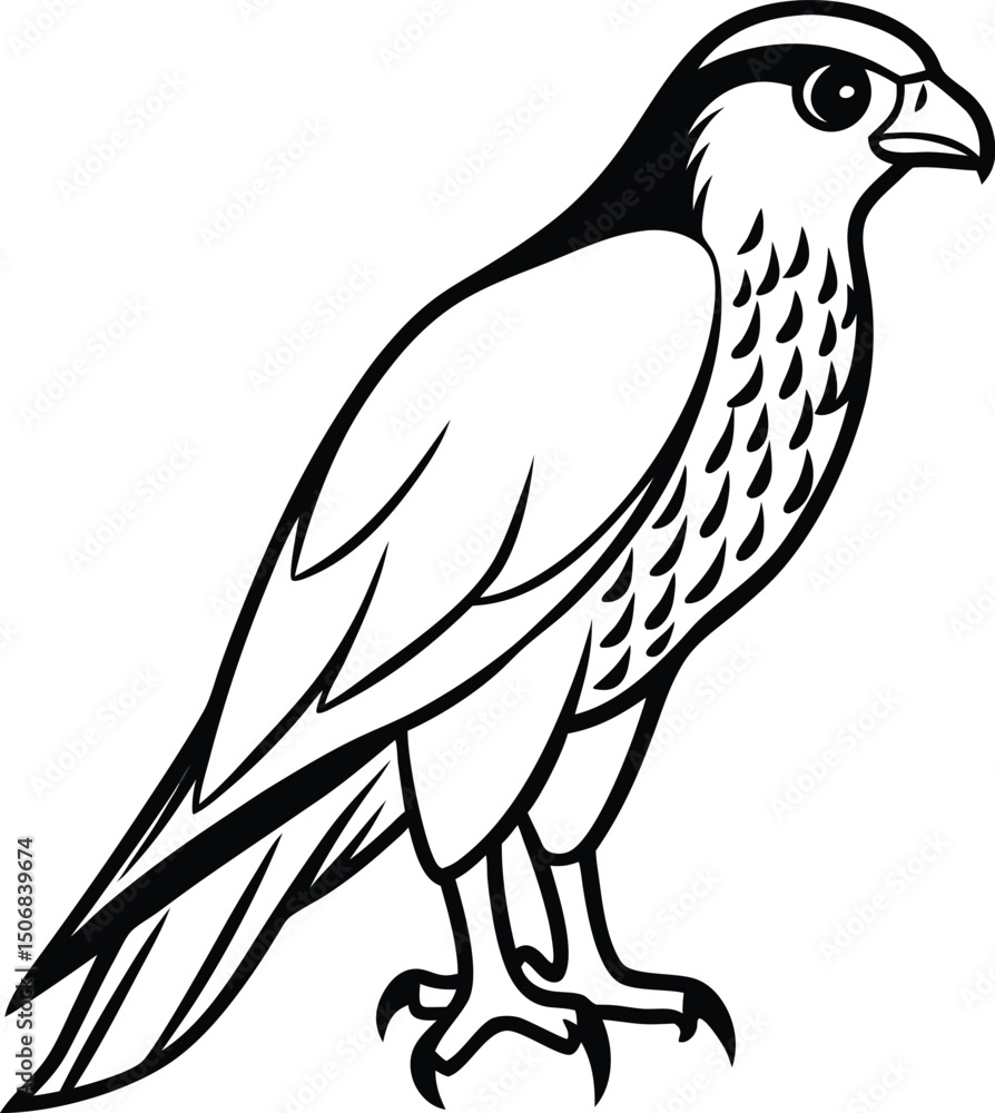 Fototapeta premium bird of prey silhouette 