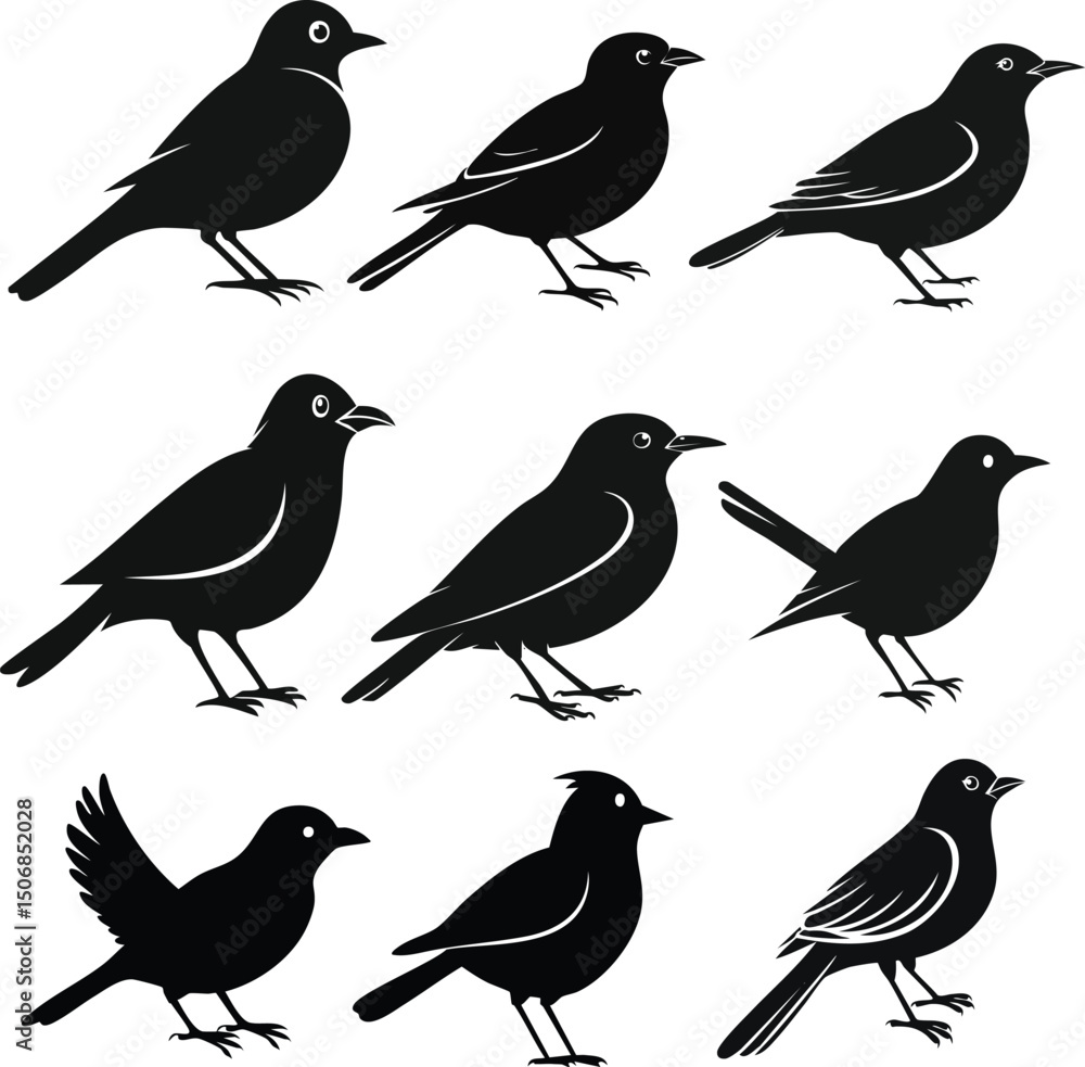 Fototapeta premium set of birds silhouette on white