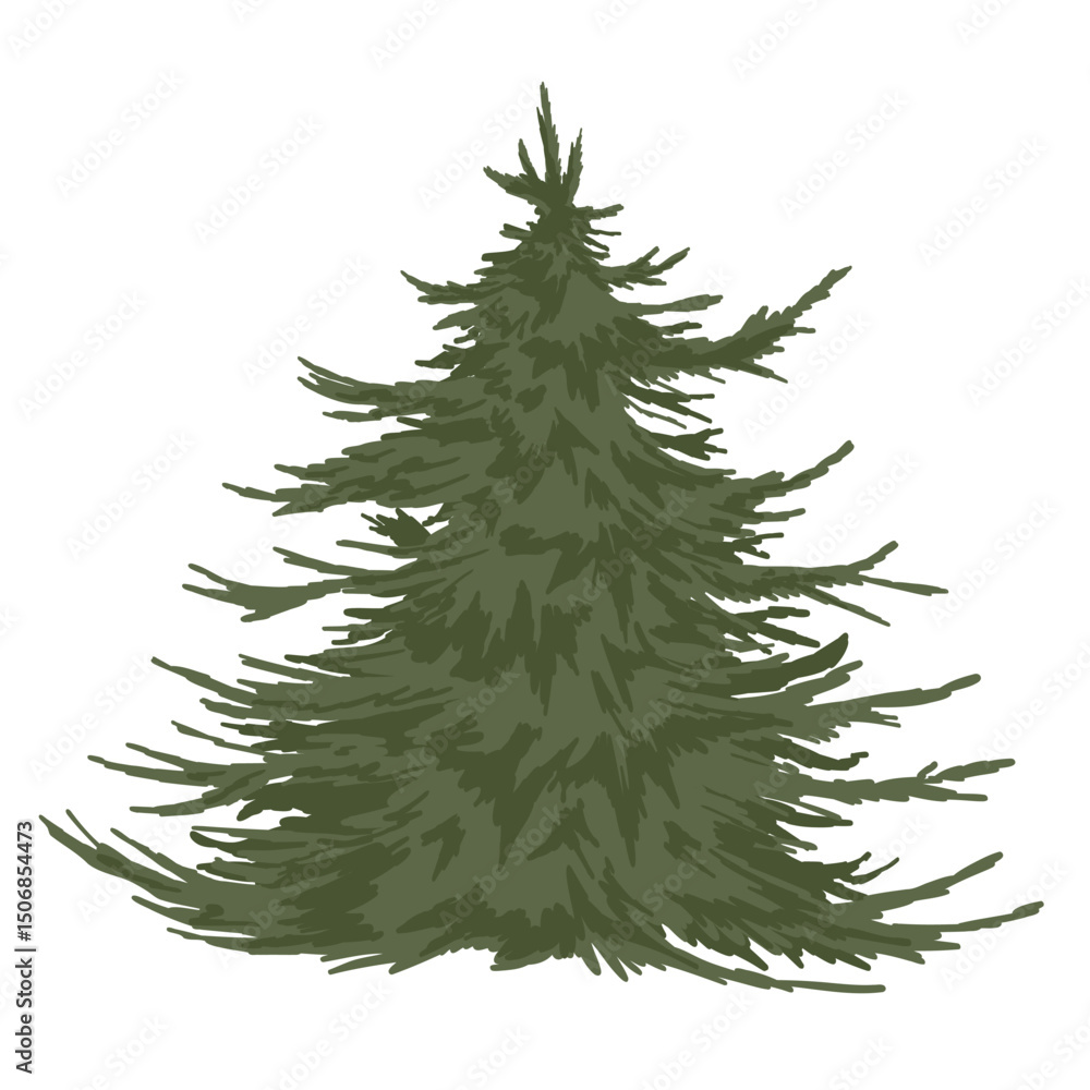 Fir tree. Realistic hand drawn vector illustration. Green fluffy pine, isolated on white background Fir tree. Realistic hand drawn vector illustration. Green fluffy pine, isolated on white background